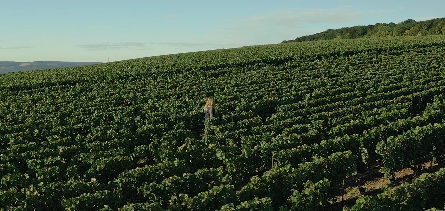 Dom Caudron. Il Meunier che racconta la Champagne