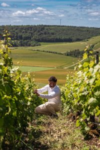 Julian Reneaud. Lo champagne non si sceglie: ti trova