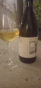 Radovic. La nuova stella del Carso
