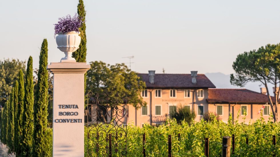 Borgo Conventi: la primavera si vive tra vigneti, musica, cucina e creatività