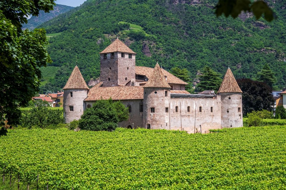 Vinaltum 2026 chiude in crescita: la terza edizione segna una svolta con il trasferimento a Castel Mareccio e supera i 1.000 visitatori