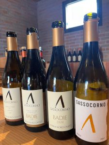 Sassocorno. Il vino è una scelta di passione, non un eredità