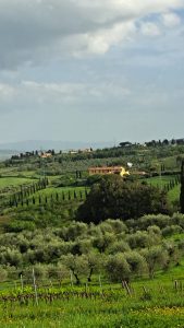 Vignaioli Pepa. La terra che non lasciava liberi