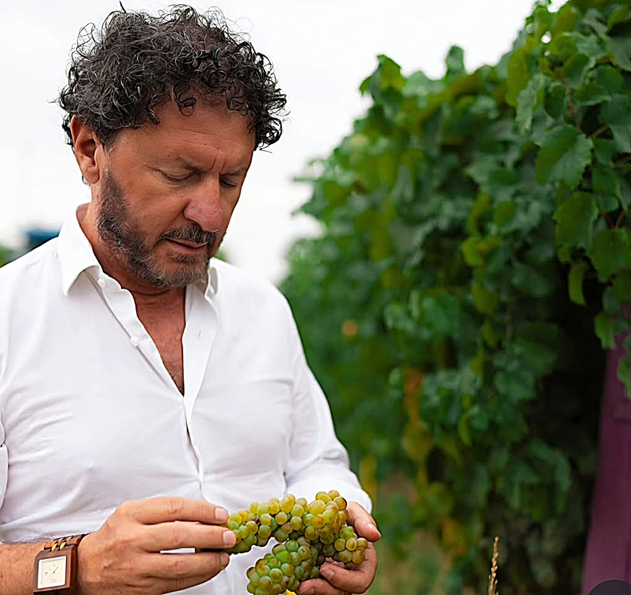 Vigna Madre. La terra ricorda