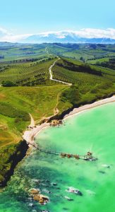 Vigna Madre. La terra ricorda
