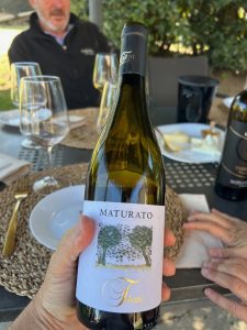 Tiberini Wine. Luca è tante cose
