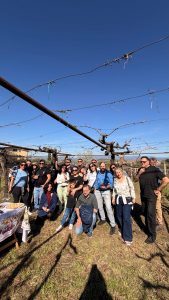 Brunch di Pasquetta in cantina Torre dei Falchi