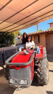 Brunch di Pasquetta in cantina Torre dei Falchi