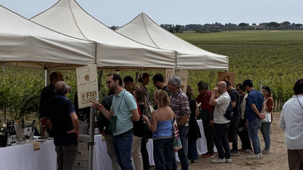 Il Sabato del Vignaiolo FIVI. Il futuro del vino italiano ha già il volto dei giovani.