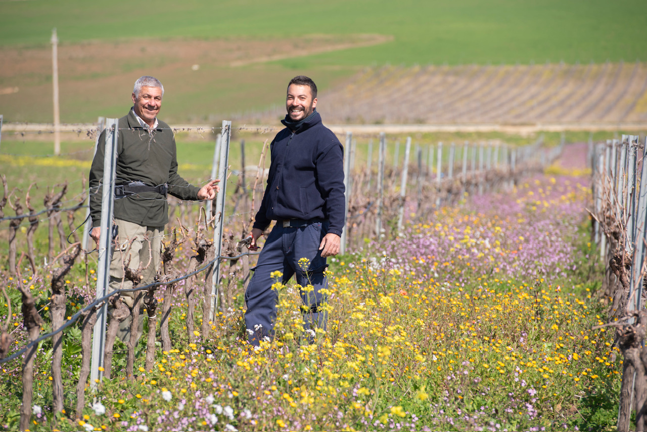A terra nun menti. Vito Oddo e la vigna di Dattilo