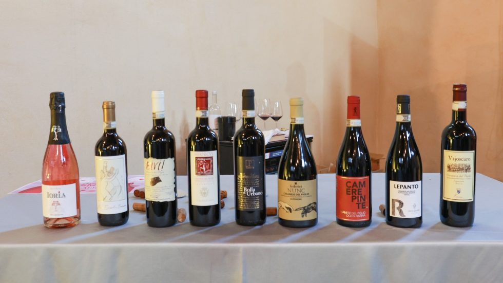 Il fascino dei “Vini d’Abbazia” approda in Calabria: il 2 e 3 maggio all’Abbazia della Matina.