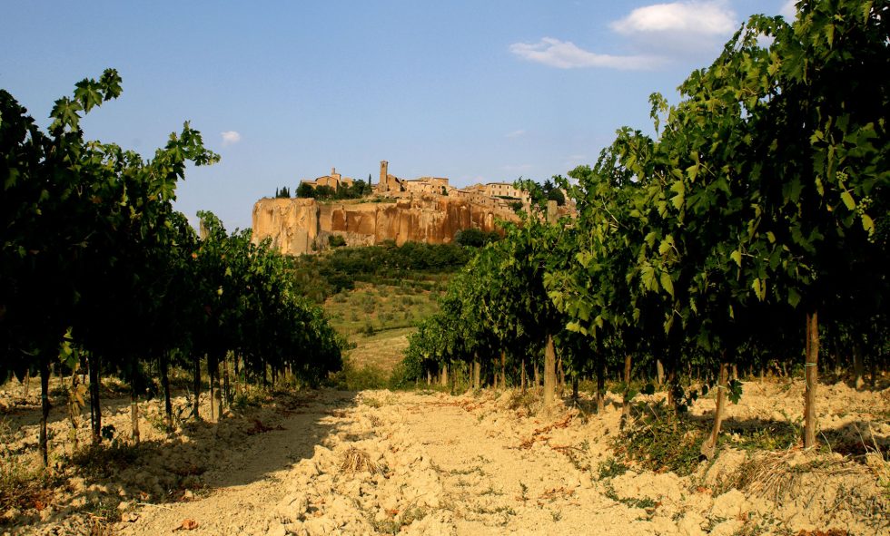 Orvieto DOC: Pluralità di Anime. Quattro vini, una denominazione, mille anni di luce