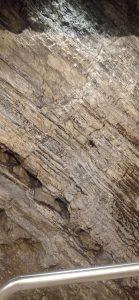 Burja. Vento e roccia