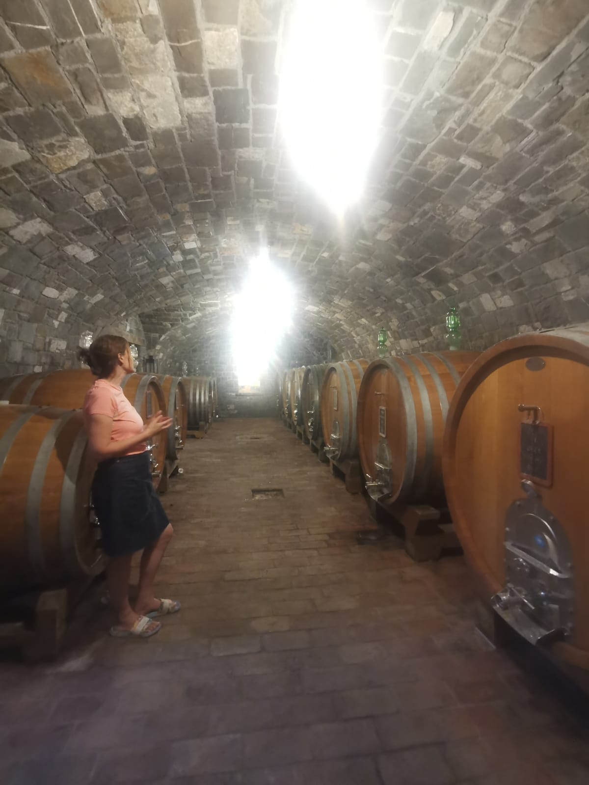 Burja. Vento e roccia