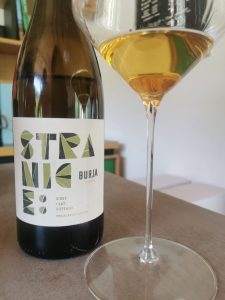 Burja. Vento e roccia