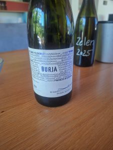 Burja. Vento e roccia