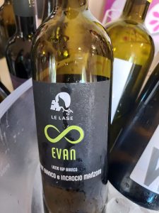 Vini di Abbazia 2026. Oltre la vigna, la magia custodita dal chiostro
