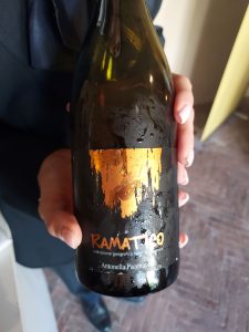 Vini di Abbazia 2026. Oltre la vigna, la magia custodita dal chiostro