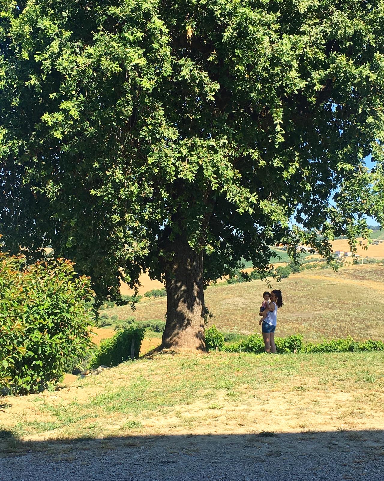Tenuta Casachiara. Il richiamo della terra