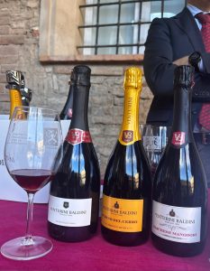 https://www.cantinapuianello.it/