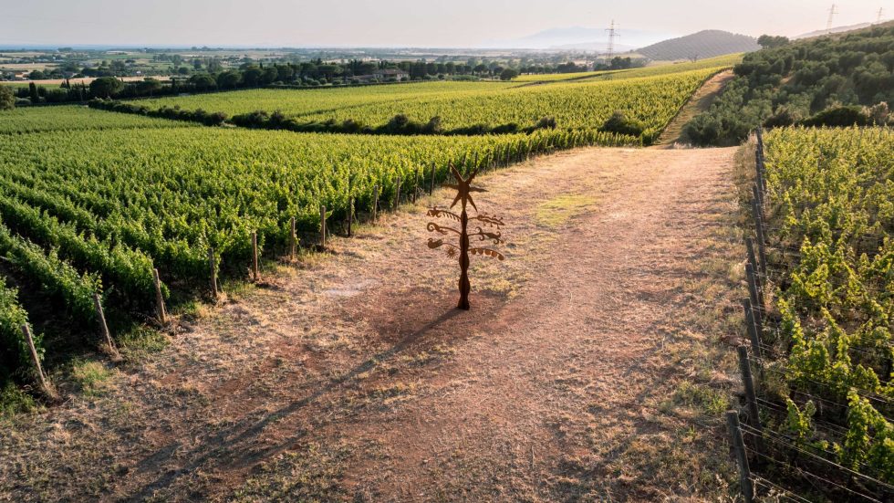 L’arte mette radici da Monteverro: Hypermaremma presenta “l’albero della maremma” di azzurra galatolo