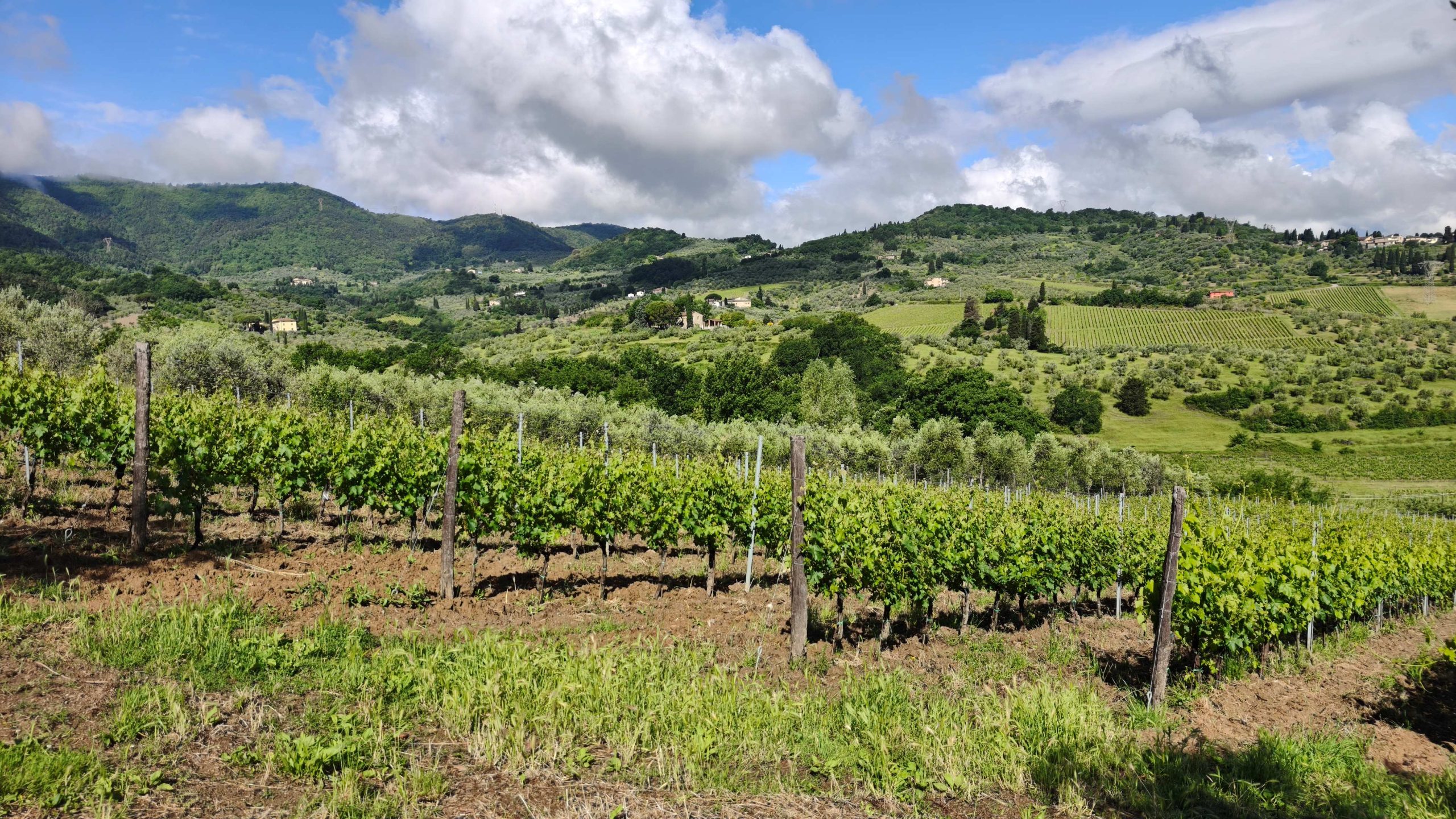 Pieve dei Medici. Il Carmignano secondo Edoardo Pratesi