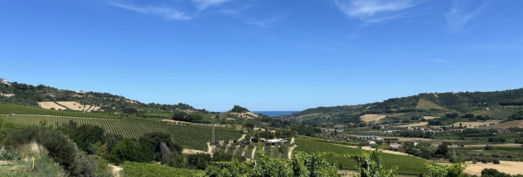 Viconari. Il giusto sbaglio del Pecorino