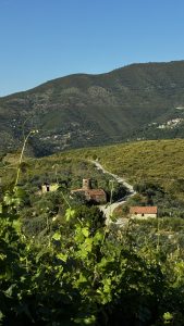 Le Grazie. La serenità delle cose semplici