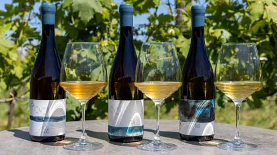 Venissa presenta i suoi 3 nuovi cru