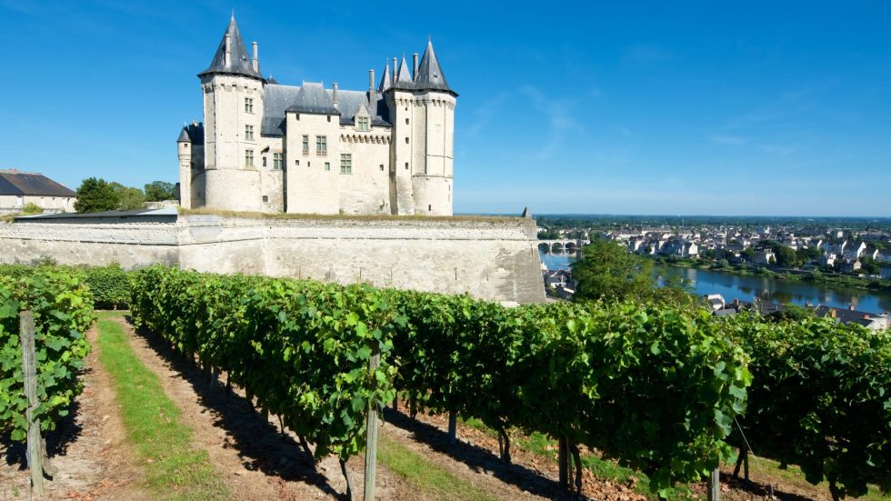 Les Grands Chais de France: boom dei vini della Valle della Loira in Italia