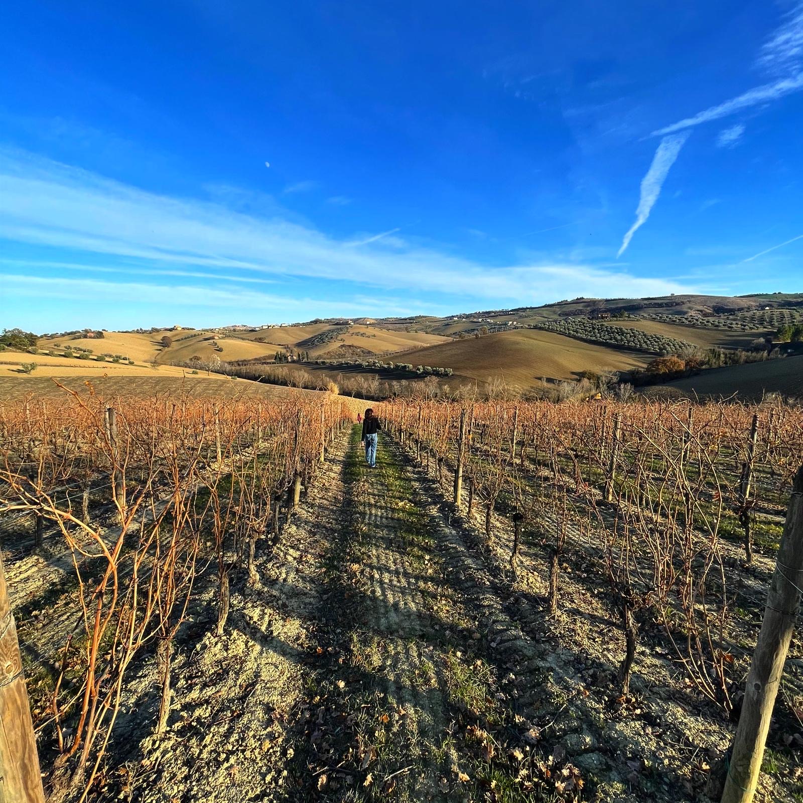 Tenuta Casachiara. Il richiamo della terra