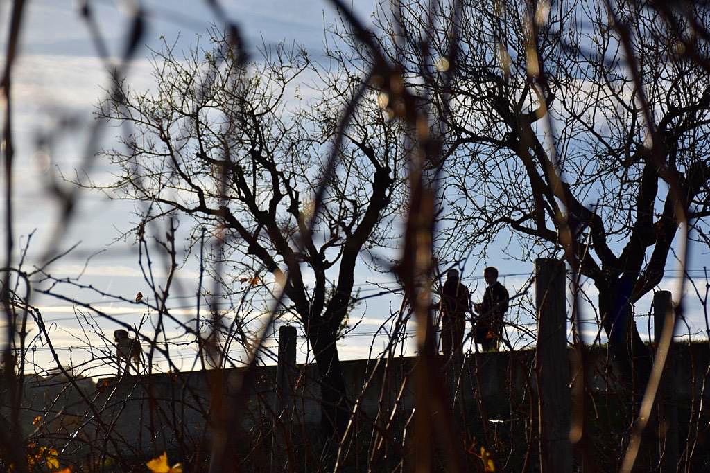 Tenuta Casachiara. Il richiamo della terra
