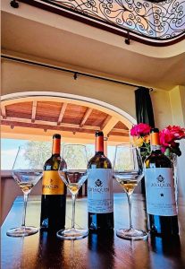 Joaquin. Raffaele Pagano, il cercatore di vigneti