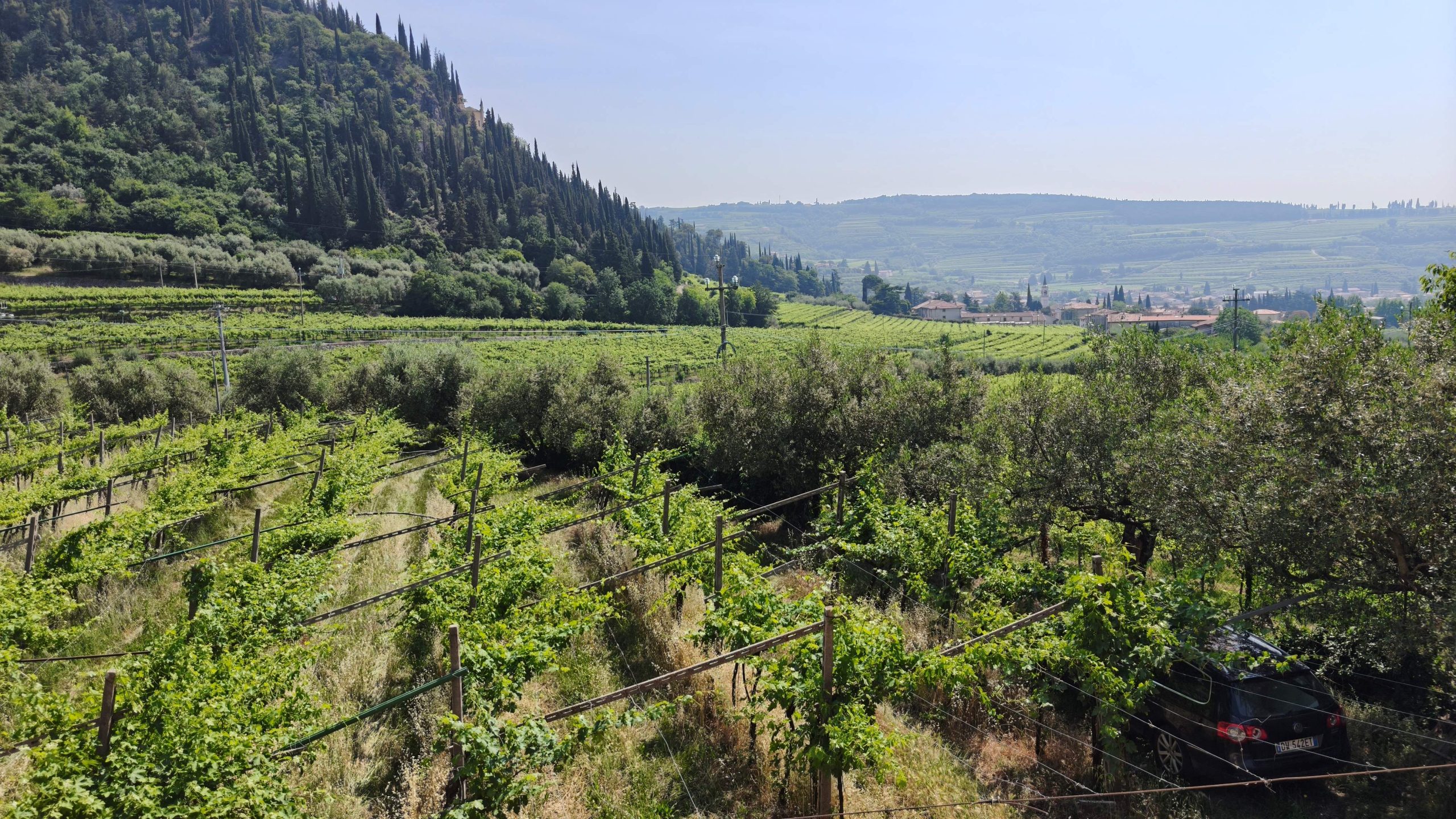 Niccolò Dama e Antica Valpolicella. La bellezza di essere padroni di sé stessi