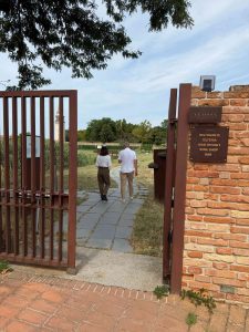 Venissa. Il tempo della Dorona