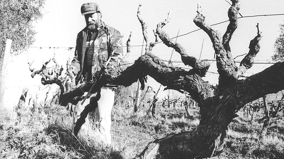 Fattoria Mantellassi porta “Le Sentinelle Riserva” a bordo dell’Amerigo Vespucci per il Vinitaly International Tour in Canada