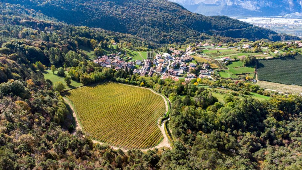 Al+Ma e l’incanto: l’estate “Still” di Maso Martis