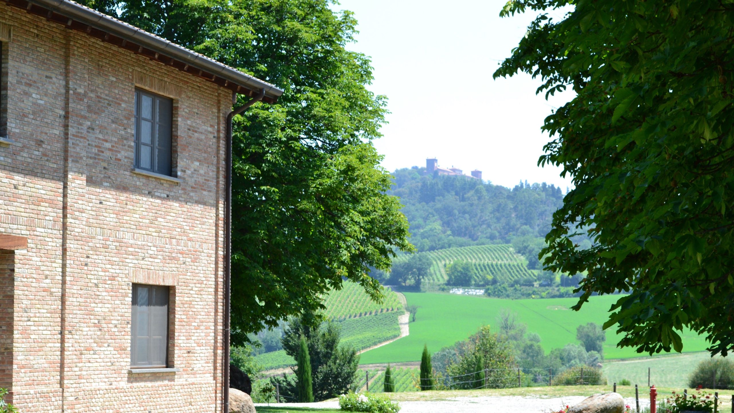  I Doria di Montalto Pavese. Daniele Manini, il filosofo in vigna