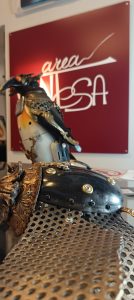 Trasparenze di sale