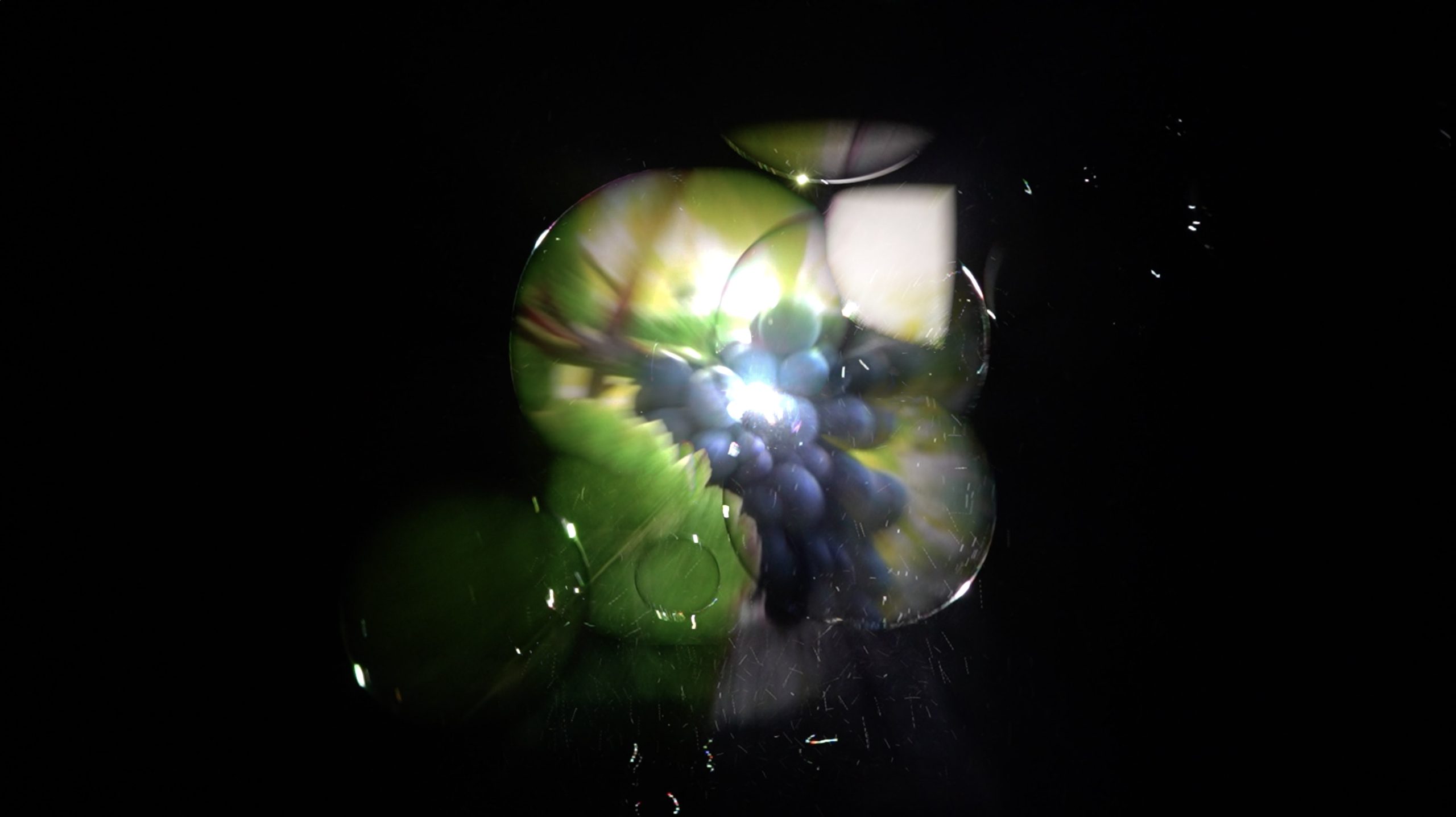 Bullescence. Arte e scienza incontrano la Champagne