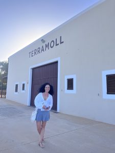 Bodega Terramoll. L'atmosfera calda e rilassata di Formentera è l'essenza di questi vini