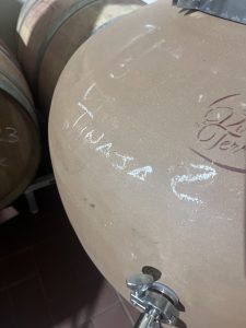 Bodega Terramoll. L'atmosfera calda e rilassata di Formentera è l'essenza di questi vini