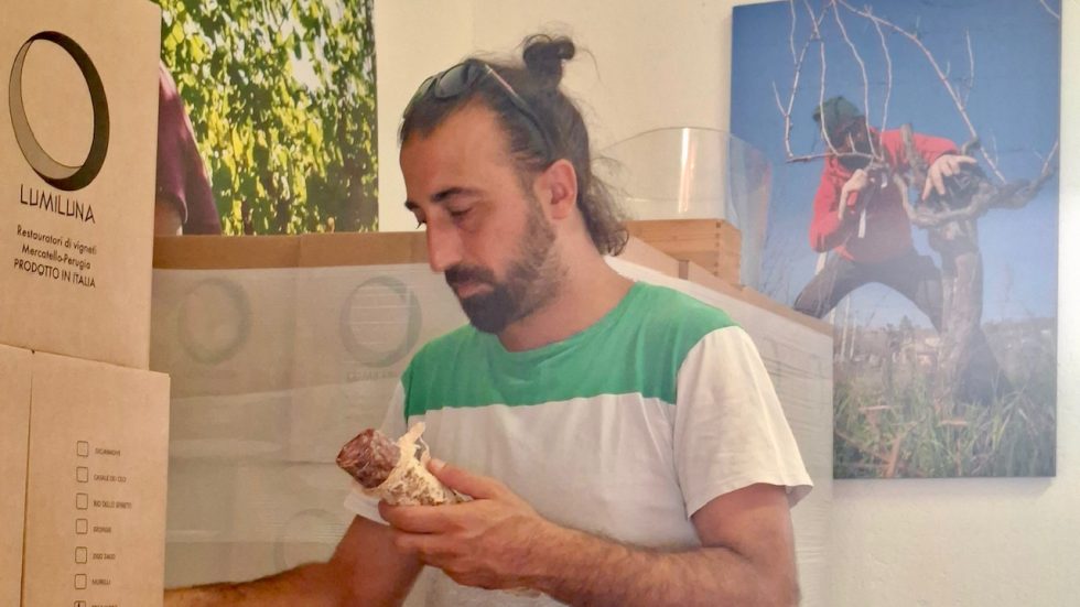 LumiLuna. Restaurare una vigna e perderla