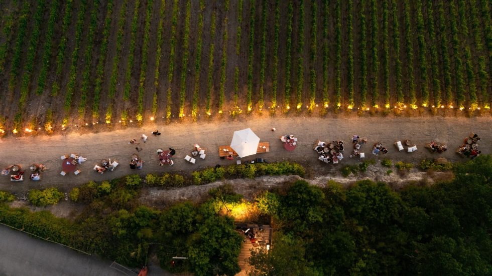 Caiarossa Sunset: il tramonto si vive tra i vigneti con vino, musica e sapori della costa toscana