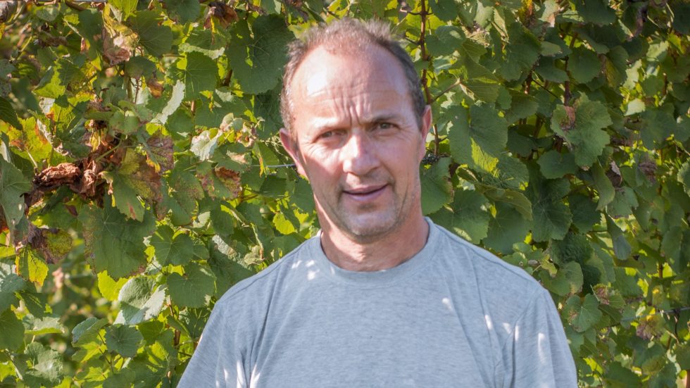 Maso Furli. A nome di chi verrà