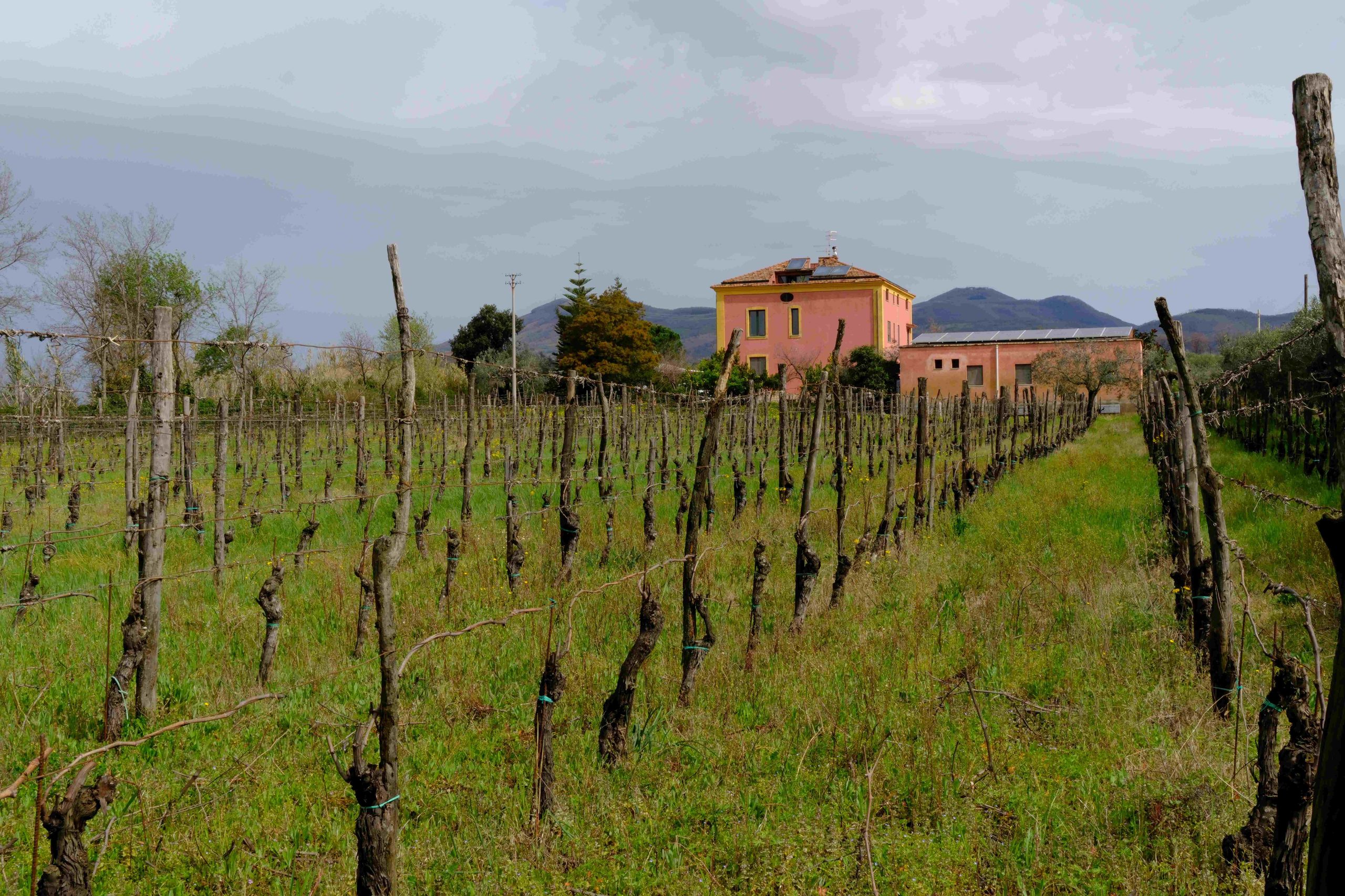 Masseria Felicia. Fabrizio Fiorenza, l’uomo che tiene aperta la porta