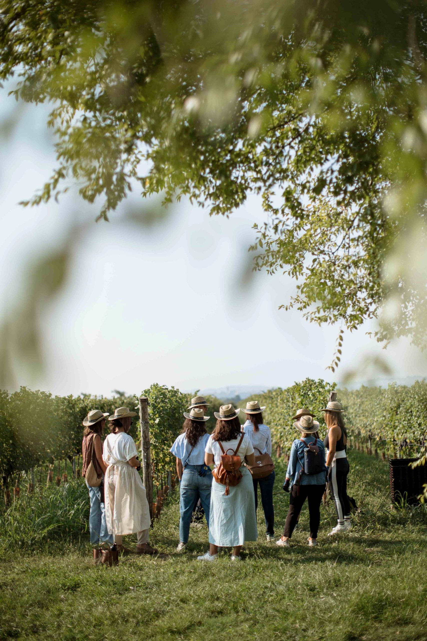 Buglioni Harvest Experience. La vendemmia non si guarda, si fa