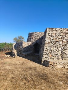 Tenuta Liliana. Una visione che diventa un progetto