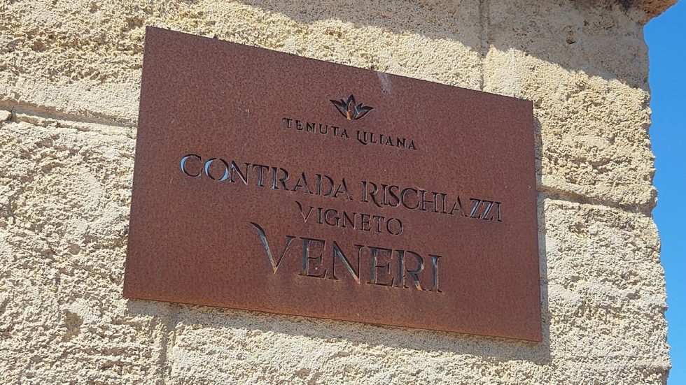 Tenuta Liliana. Una visione che diventa un progetto