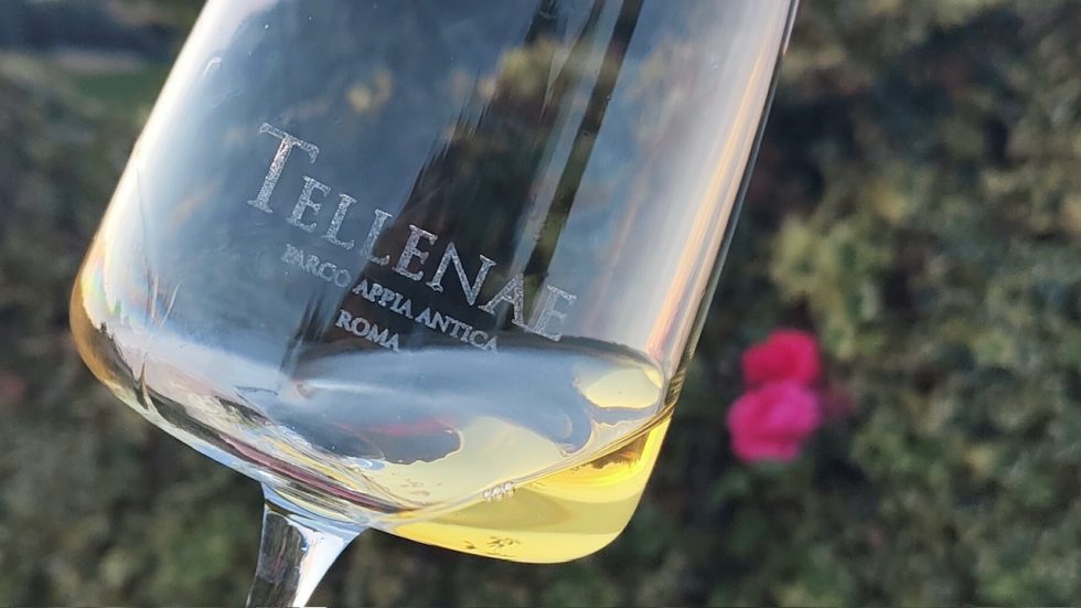 Cantina Tellenae. L'amore che move la vigna